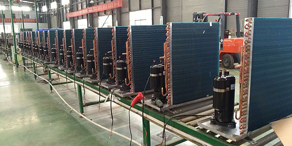 1546927111105083.jpg 未标题-9.jpg